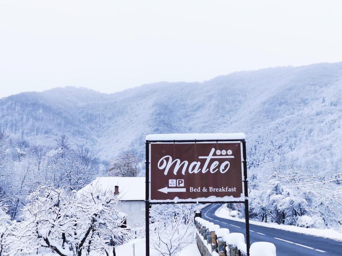 ホテル Mateo Transalpina Săsciori エクステリア 写真