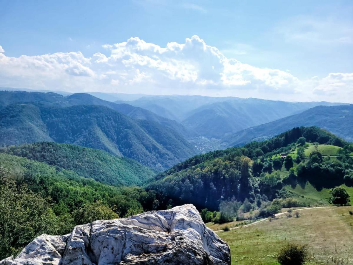 ホテル Mateo Transalpina Săsciori エクステリア 写真
