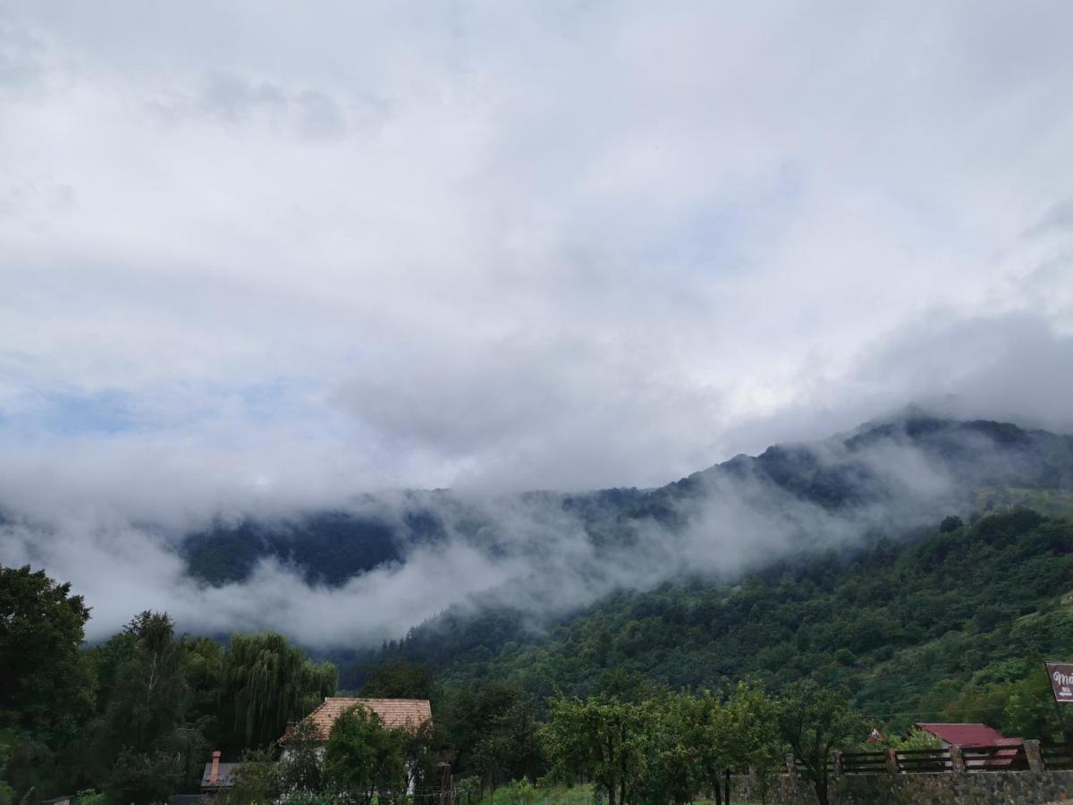 ホテル Mateo Transalpina Săsciori エクステリア 写真
