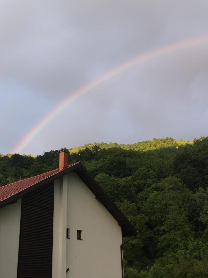 ホテル Mateo Transalpina Săsciori エクステリア 写真
