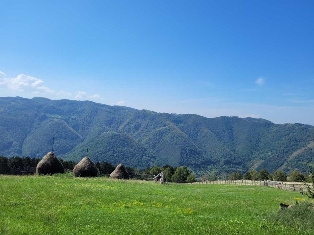 ホテル Mateo Transalpina Săsciori エクステリア 写真