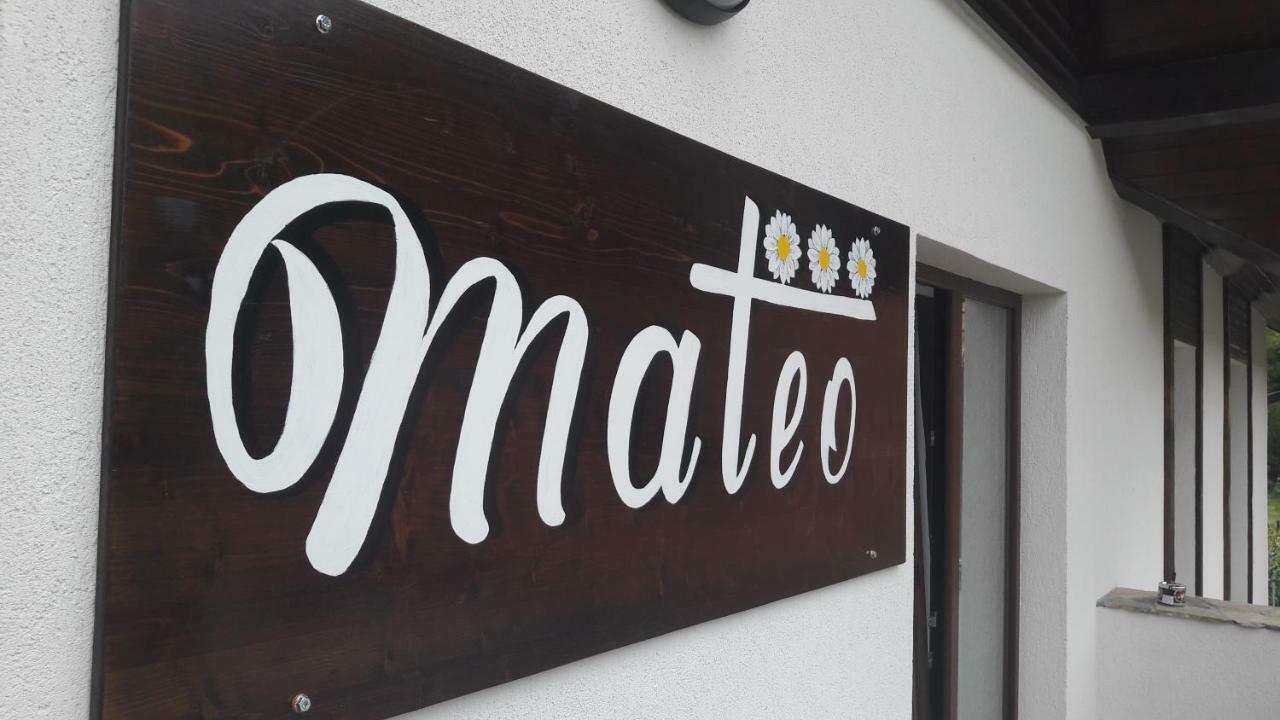 ホテル Mateo Transalpina Săsciori エクステリア 写真